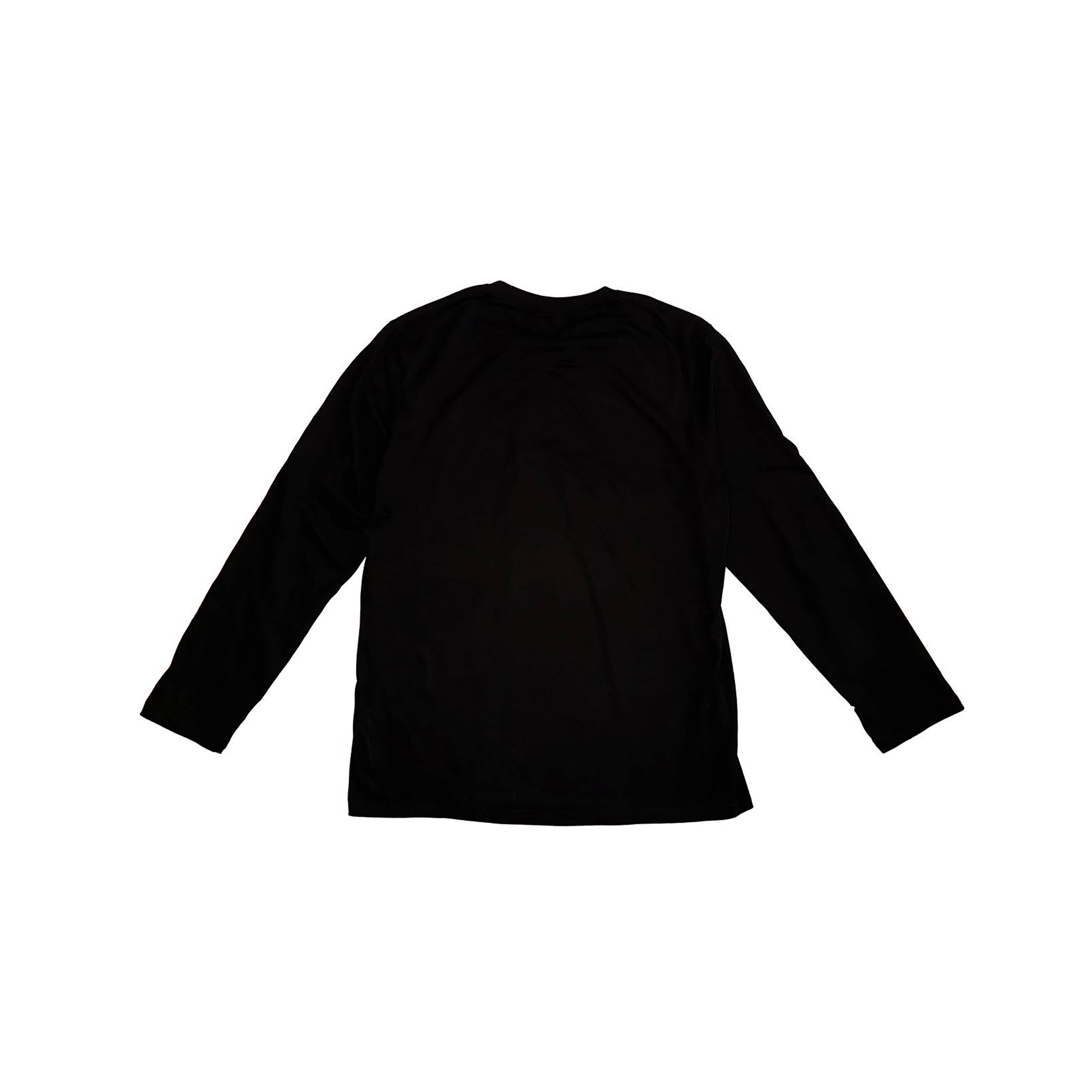 juventud "public hunting land black longsleeve" - back
